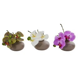 Nearly Natural Phalaenopsis Orchid 7"H Artificial Floral Arrangements With Planter, 7"H x 6-1/2"W x 5-1/2"D, Multicolor, Set Of 3