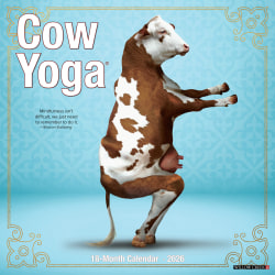 2026 Willow Creek Press Animals Monthly Wall Calendar, 12" x 12", Cow Yoga, January To December, 50873