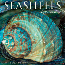 2026 Willow Creek Press Art & Design Monthly Wall Calendar, 12" x 12", Seashells, January To December, 52709