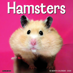 2026 Willow Creek Press Animals Monthly Wall Calendar, 12" x 12", Hamsters, January To December, 57025