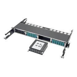 Eaton Tripp Lite Series 100Gb/120Gb to 40Gb Breakout Cassette 2 24-Fiber to 6 12-Fiber - Fiber optic cassette - MTP/MPO X 6 - black