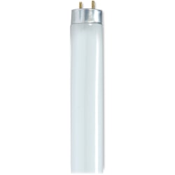 Satco® 48" T8 Fluorescent Bulbs, 32 Watt, Carton Of 6