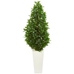 Nearly Natural 63"H Bay Leaf Cone Topiary Artificial Tree With UV-Resistant Planter, 63"H x 24"W x 24"D, Green/White