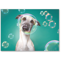 Viabella Blank Note Greeting Card, Dog, 5" x 7", Multicolor