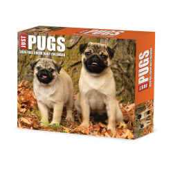 2026 Willow Creek Press Page-A-Day Daily Desk Calendar, 6-1/4" x 5-1/2", Just Pugs, January To December, 54376