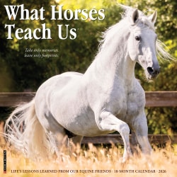 2026 Willow Creek Press Animals Monthly Wall Calendar, 12" x 12", What Horses Teach Us, January To December, 53195
