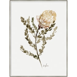 Amanti Art Wild Banksia by Sara Berrenson Wood Framed Wall Art Print, 31"W x 41"H, White