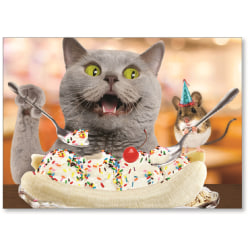 Viabella Fun Birthday Greeting Card With Envelope, Sundae Cat, 5" x 7"
