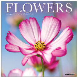 2026 Willow Creek Press Art & Design Monthly Wall Calendar, 12" x 12", Flowers, January To December, 51139