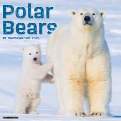 2026 Willow Creek Press Animals Monthly Wall Calendar, 12" x 12", Polar Bears, January To December, 56059