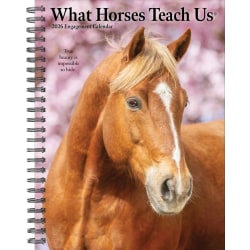 2026 Willow Creek Press Weekly Engagement Calendar, 6-1/2" x 8-1/2", Stallion Stories, January To December, 54697