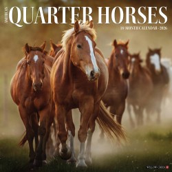2026 Willow Creek Press Animals Monthly Wall Calendar, 12" x 12", American Quarter Horses, January To December, 49853