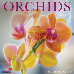 2026 Willow Creek Press Art & Design Monthly Wall Calendar, 12" x 12", Orchids, January To December, 56035