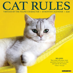 2026 Willow Creek Press Animals Monthly Wall Calendar, 12" x 12", Cat Rules, January To December, 50583