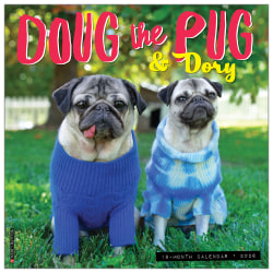 2026 Willow Creek Press Animals Monthly Wall Calendar, 12" x 12", Doug the Pug & Dory, January To December, 51016