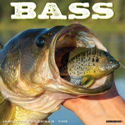 2026 Willow Creek Press Animals Monthly Wall Calendar, 12" x 12", Bass, January To December, 50064