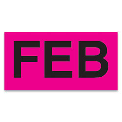 Tape Logic® Permanent Inventory Label Roll, DL6722, Month-Style, "FEB," 6" x 3", Pink, Roll Of 500