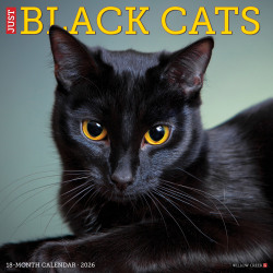 2026 Willow Creek Press Animals Monthly Wall Calendar, 12" x 12", Black Cats, January To December, 50286