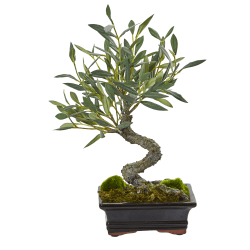 Nearly Natural Mini Olive Bonsai 13"H Artificial Tree. 13"H x 8-1/2"W x 6"D, Green