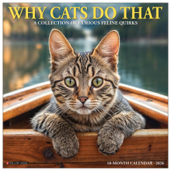 2026 Willow Creek Press Animals Monthly Wall Calendar, 12" x 12", Why Cats Do That, January To December, 53256