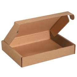 Partners Brand Deluxe Literature Mailers, 11 1/8" x 8 3/4" x 2", Kraft, Pack Of 50