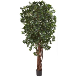 Nearly Natural Lychee 90"H Silk Tree With Pot, 90"H x 48"W x 48"D, Green