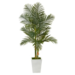 Nearly Natural Golden Cane Palm 66"H Artificial Plant With Metal Planter, 66"H x 23"W x 21"D, Green/White