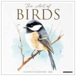 2026 Willow Creek Press Monthly Wall Calendar, 12" x 12", The Art of Birds, January To December, 56332