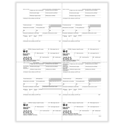 ComplyRight® W-2 Tax Forms, 2-Up (M-Style Alternate), Employee’s Copies B, C, 2, 2, 8-1/2" x 11", Pack Of 50 Forms