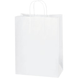 Partners Brand Paper Shopping Bags, 10"W x 5"D x 13"H, White, Case Of 250