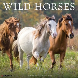 2025 Willow Creek Press Animals Monthly Wall Calendar, 12" x 12", Wild Horses, January To December, 45466