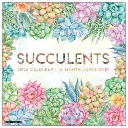 2026 Willow Creek Press Art & Design Monthly Wall Calendar, 12" x 12", Succulents-Large Grid, January To December, 55564
