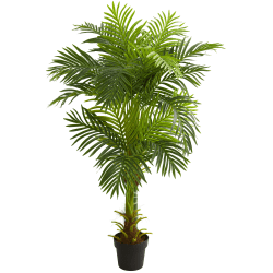 Nearly Natural Double Stalk Hawaii Palm 60"H Artificial Tree With Pot, 60"H x 11"W x 11"D, Green
