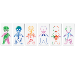 Roylco Look Inside Me Paint Sheets, 3-3/4" x 7 1/4", 150 Sheets/25 Booklets