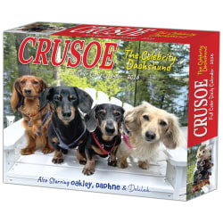2026 Willow Creek Press Page-A-Day Daily Desk Calendar, 6-1/4" x 5-1/2", Crusoe the Celebrity Dachshund, January To December, 54086