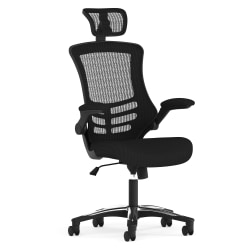 Flash Furniture Ergonomic Mesh High-Back Executive Office Chair, Black, BLX5H