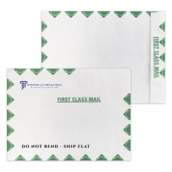 Zip Stick®,  White With Green First Class Border DuPont™ Tyvek® Open End Catalog Mailing Envelopes, 2-Color, Custom 9" x 12", Box Of 500