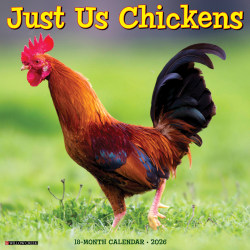 2026 Willow Creek Press Animals Monthly Wall Calendar, 12" x 12", Just Us Chickens, January To December, 51658