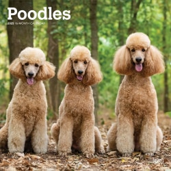 2025 BrownTrout Poodles Monthly Plastic-Free Square Wall Calendar, 12" x 12", Dog Breeds, January to December 2025, 9781975477547