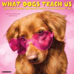 2026 Willow Creek Press Animals Monthly Wall Calendar, 12" x 12", What Dogs Teach Us, January To December, 53164