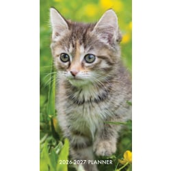 2026-2027 Willow Creek Press 2-Year Monthly Checkbook/Calendar, 3-1/2" x 6-1/2", Cute as A Kitten, January 2026 To December 2027, 56530