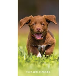 2026-2027 Willow Creek Press 2-Year Monthly Checkbook/Calendar, 3-1/2" x 6-1/2", Puppy Love, January 2026 To December 2027, 56622