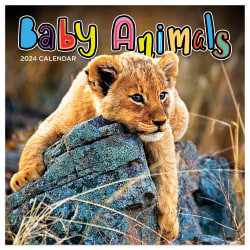 2024 TF Publishing Animals Monthly Mini Wall Calendar, 7" x 7", Baby Animals, January To December