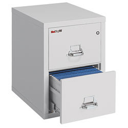 FireKing® 25"D Vertical 2-Drawer Legal-Size Fireproof File Cabinet, Metal, Platinum, White Glove Delivery