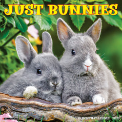 2026 Willow Creek Press Animals Monthly Wall Calendar, 12" x 12", Bunnies, January To December, 50446