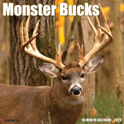 2026 Willow Creek Press Animals Monthly Wall Calendar, 12" x 12", Monster Bucks, January To December, 51993