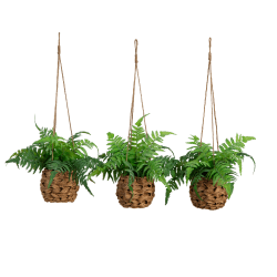 Nearly Natural 10"H UV Resistant Artificial Boston Ferns With Hanging Wicker Baskets, 10"H x 11"W x 11"W, Green/Brown, Set Of 3 Ferns