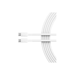 ALOGIC Elements Pro - USB cable - USB-C (M) to USB-C (M) - USB 2.0 - 5 A - 3.3 ft - white