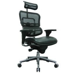 Raynor® Eurotech Ergohuman Ergonomic Bonded Leather/Mesh High-Back Chair, Black/Chrome