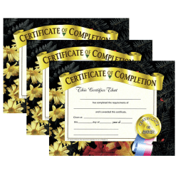 Hayes Publishing Certificate Of Completion, 8.5" x 11", 30 Per Pack, Set Of 3 Packs, HVA5243